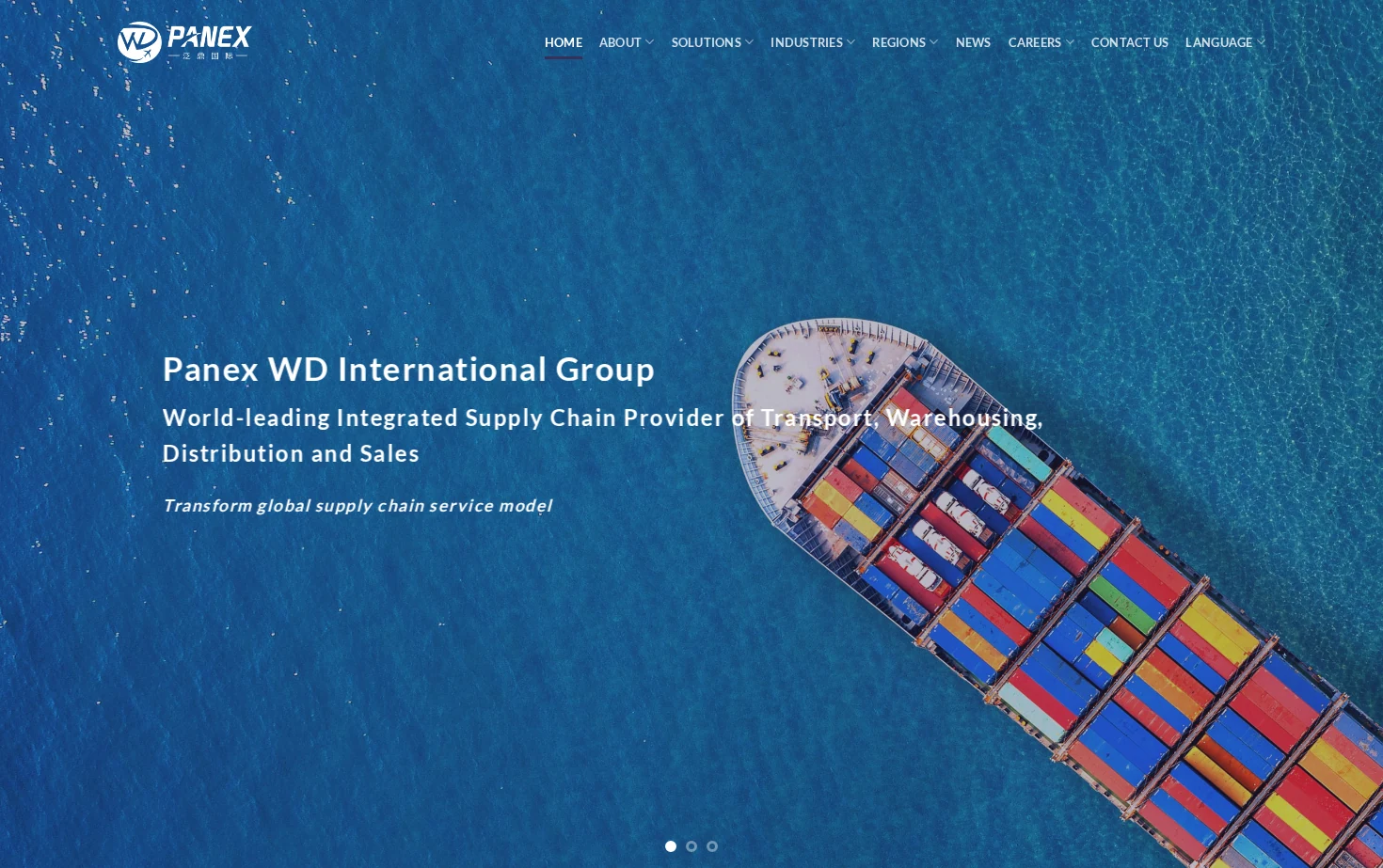 Panex WD International - 泛鼎国际 - 页面快照